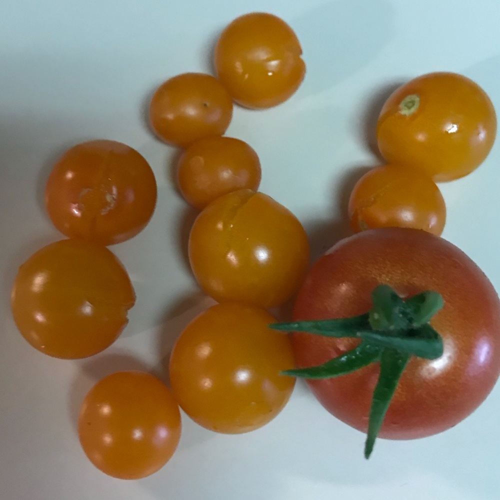 Meet your Posher, Alice